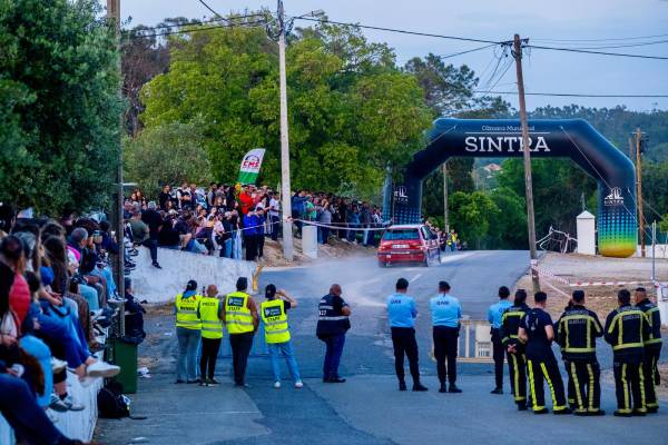 2026-04-25_rallycamelias_3_original