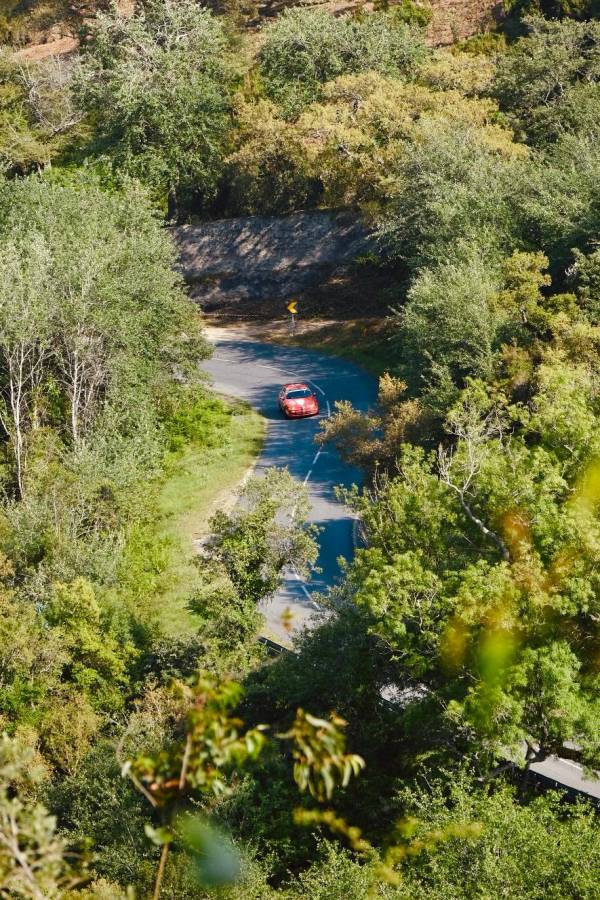 Camelias-Rallyfans_1__original