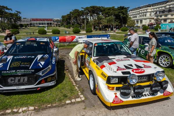 CameliasRallyfans14__original