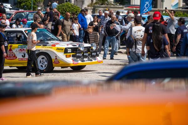 CameliasRallyfans17_original