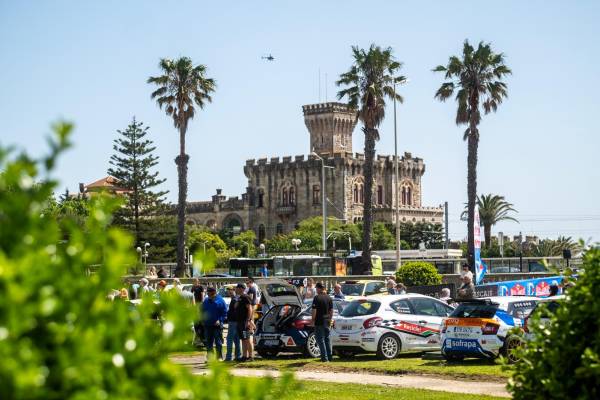 CameliasRallyfans18_original